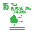 Vida de ecosistemas terrestres